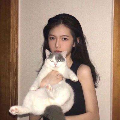 手机影之诗go版中文下载